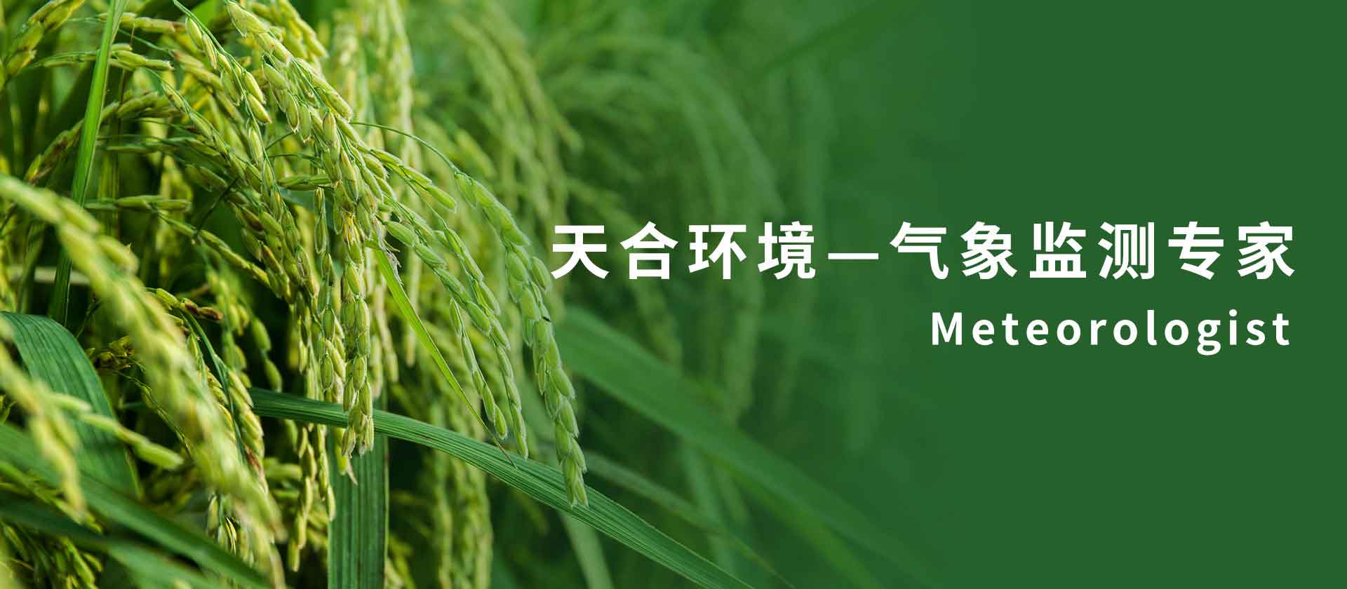 水位監(jiān)測(cè)站廠(chǎng)家